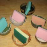 Sponge Dishes
