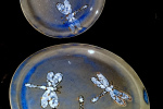 Dragonfly Plates